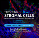 Picture of Targeting Stromal Cells in Cancer and Inflammatory Diseases - 2021