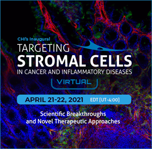 Picture of Targeting Stromal Cells in Cancer and Inflammatory Diseases - 2021