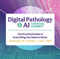 Picture of The Inaugural Digital Pathology and AI Virtual Summit - 2021