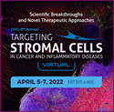 Picture of Targeting Stromal Cells in Cancer and Inflammatory Diseases