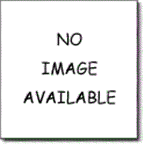 Picture of Executive Decision Making - 2022